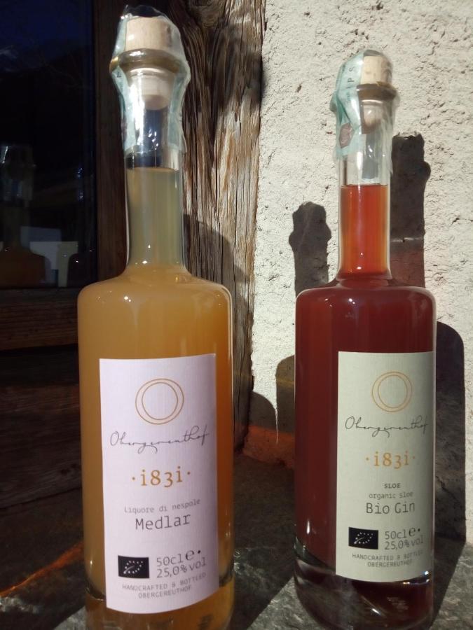 Obergereuth Hof 2021 Διαμέρισμα San Martino In Passiria  Εξωτερικό φωτογραφία