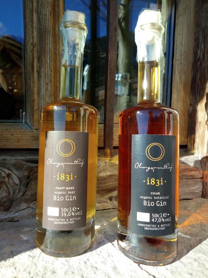 Obergereuth Hof 2021 Διαμέρισμα San Martino In Passiria  Εξωτερικό φωτογραφία