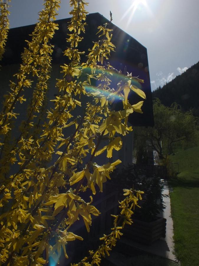Obergereuth Hof 2021 Διαμέρισμα San Martino In Passiria  Εξωτερικό φωτογραφία